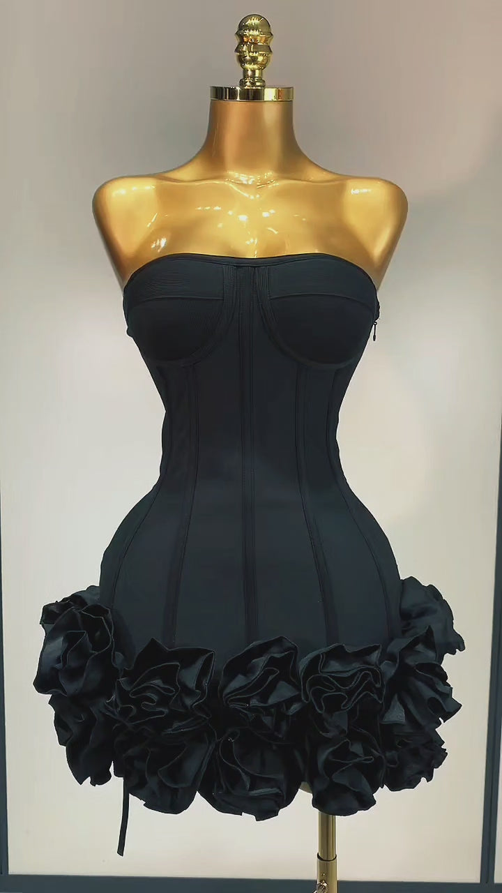 No Introduction Corset Mini Dress                                                                                Ships 9/28